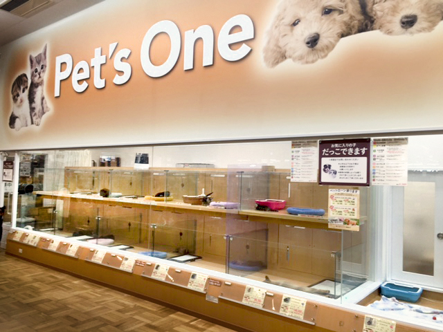 Pet S One 東金店 Happy Bell ハッピーベル 千葉県を中心に展開するペットショップ