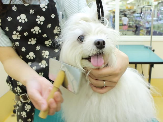 写真2