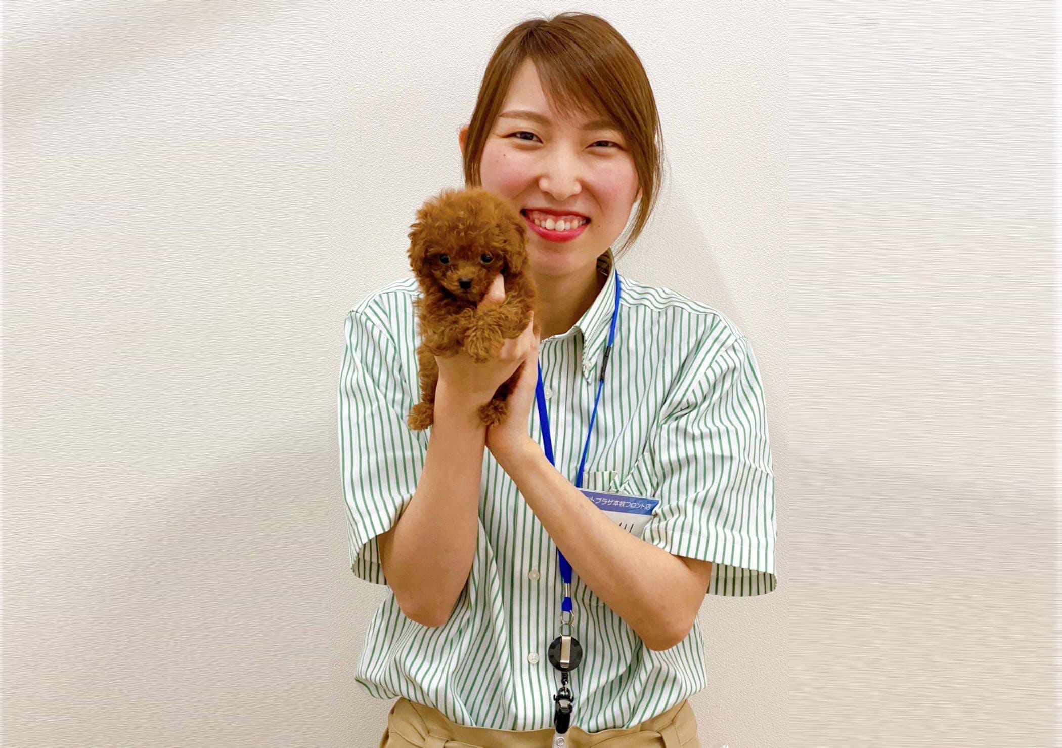 ペットプラザ 本牧フロント店