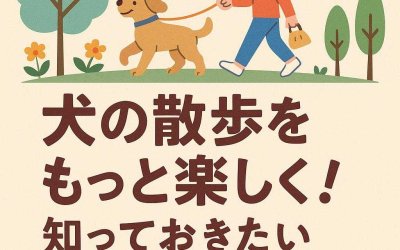犬の散歩をもっと楽しく！知っておきたい基本的なマナー