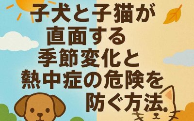 子犬と子猫が直面する季節変化と熱中症の危険を防ぐ方法