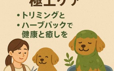 愛犬のための極上ケア：トリミングとハーブパックで健康と癒しを