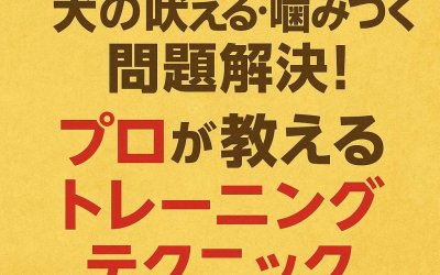 犬の吠える・噛みつく問題解決！プロが教えるトレーニングテクニック