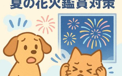 犬猫のストレスを避ける！夏の花火鑑賞対策