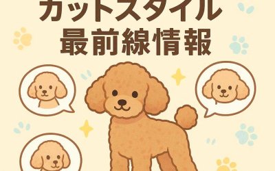 トイプードルのカットスタイル最前線情報