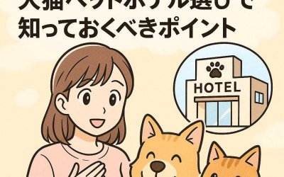 大切な家族のために：犬猫ペットホテル選びで知っておくべきポイント
