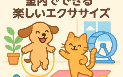 犬猫の運動不足解消！室内でできる楽しいエクササイズ