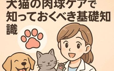 獣医師もおすすめ！犬猫の肉球ケアで知っておくべき基礎知識