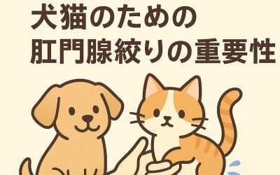 知っておきたい！犬猫のための肛門腺絞りの重要性