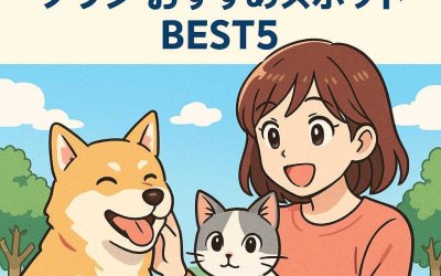 船橋市で犬猫と遊ぶ休日プラン：おすすめスポットBEST5