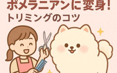 わたあめみたいなポメラニアンに変身！トリミングのコツ