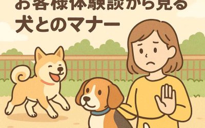 ドッグランでの問題回避！お客様体験談から見る犬とのマナー