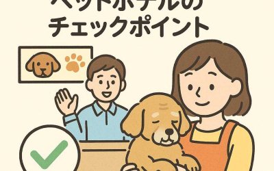 高齢犬を安心して預けるためのペットホテルのチェックポイント