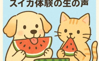 夏の味覚を犬猫と共有？スイカ体験の生の声
