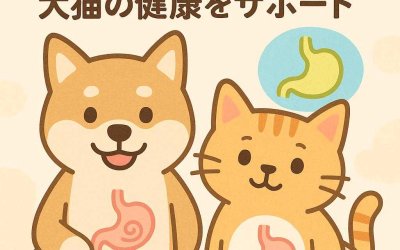 オススメの胃腸ケア術で犬猫の健康をサポート