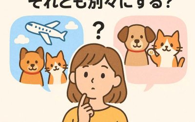犬猫と一緒に長期旅行？それとも別々にする？
