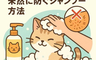 猫の皮膚トラブルを未然に防ぐシャンプー方法