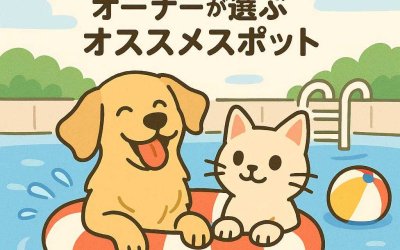 話題の犬猫プール！オーナーが選ぶオススメスポット