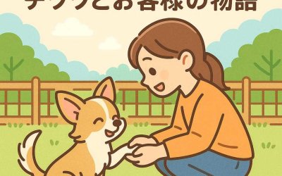 ドッグランで見つけた絆！チワワとお客様の物語