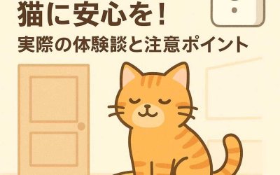 お留守番する猫に安心を！実際の体験談と注意ポイント