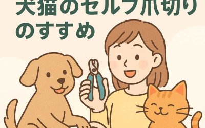 初心者でも安心！犬猫のセルフ爪切りのすすめ