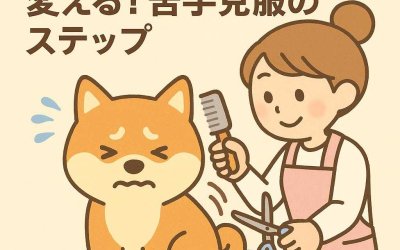 トリミング嫌いな柴犬を変える！苦手克服のステップ