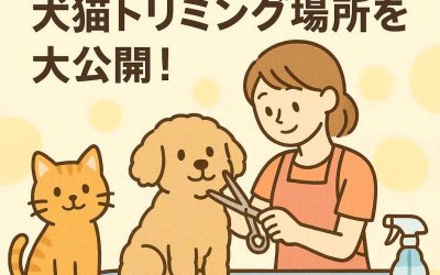 東京都で評判の犬猫トリミング場所を大公開！