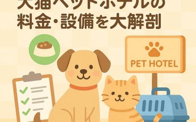 2025年版 犬猫ペットホテルの料金・設備を大解剖