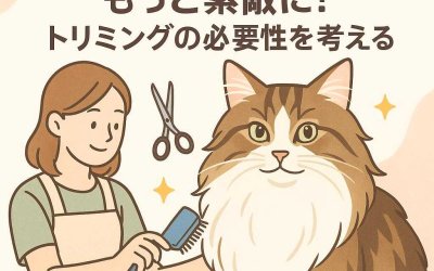 ノルウェージャンフォレストキャットをもっと素敵に！トリミングの必要性を考える