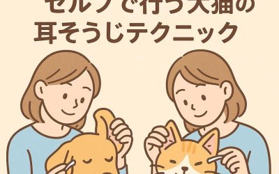 やさしく簡単！セルフで行う犬猫の耳そうじテクニック