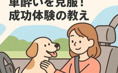 私たちのペットが車酔いを克服！成功体験の教え