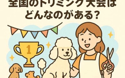 犬好きの祭典！全国のトリミング大会はどんなのがある？