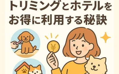 ペット愛好家のための！トリミングとホテルをお得に利用する秘訣