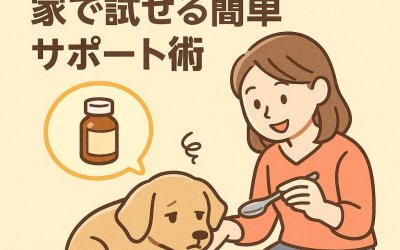 食欲低下のペットに！家で試せる簡単サポート術