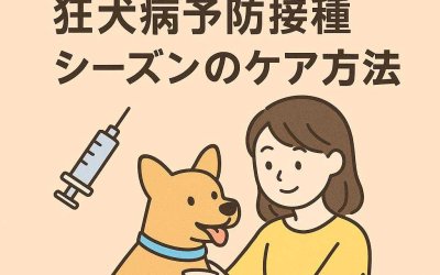 知っておくと安心！狂犬病予防接種シーズンのケア方法