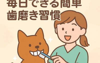 動物看護師が教える！毎日できる簡単歯磨き習慣