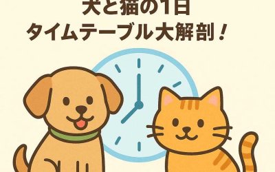 ペットホテルでの過ごし方: 犬と猫の1日タイムテーブル大解剖！