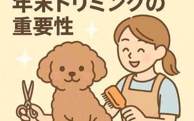 うちの子もピカピカ！年末トリミングの重要性