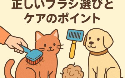 ペットの毛玉を防ぐ！正しいブラシ選びとケアのポイント