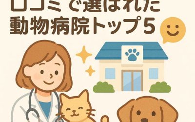 優しいケアが評判！口コミで選ばれた動物病院トップ5