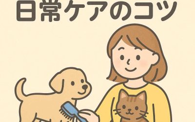 子犬・子猫と一緒に始める日常ケアのコツ