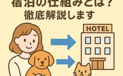 ペット一時預かりと宿泊の仕組みとは？徹底解説します