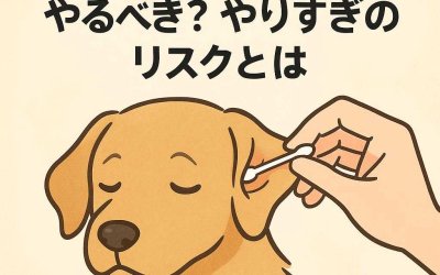 犬の耳掃除はどれくらいやるべき？やりすぎのリスクとは