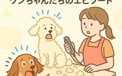 トリミング中に驚かされたワンちゃんたちのエピソード