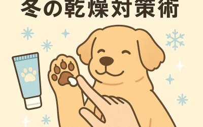愛犬の肉球を守る！冬の乾燥対策術