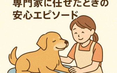 高齢犬のお世話を専門家に任せたときの安心エピソード