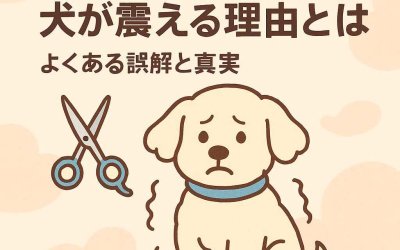 トリミング後に犬が震える理由とは？よくある誤解と真実