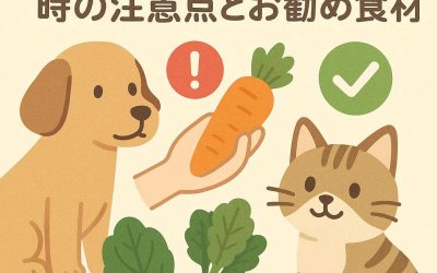 冬野菜をペットに与える時の注意点とお勧め食材