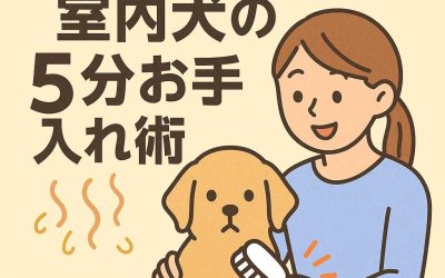 匂いが気になる人必見！室内犬の5分お手入れ術