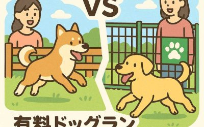無料ドッグランVS有料ドッグラン！どちらを選ぶべきか